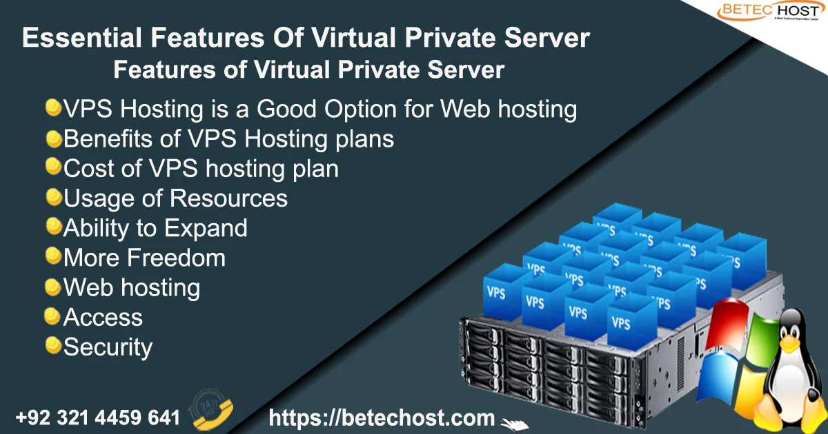essential features of virtual private server
