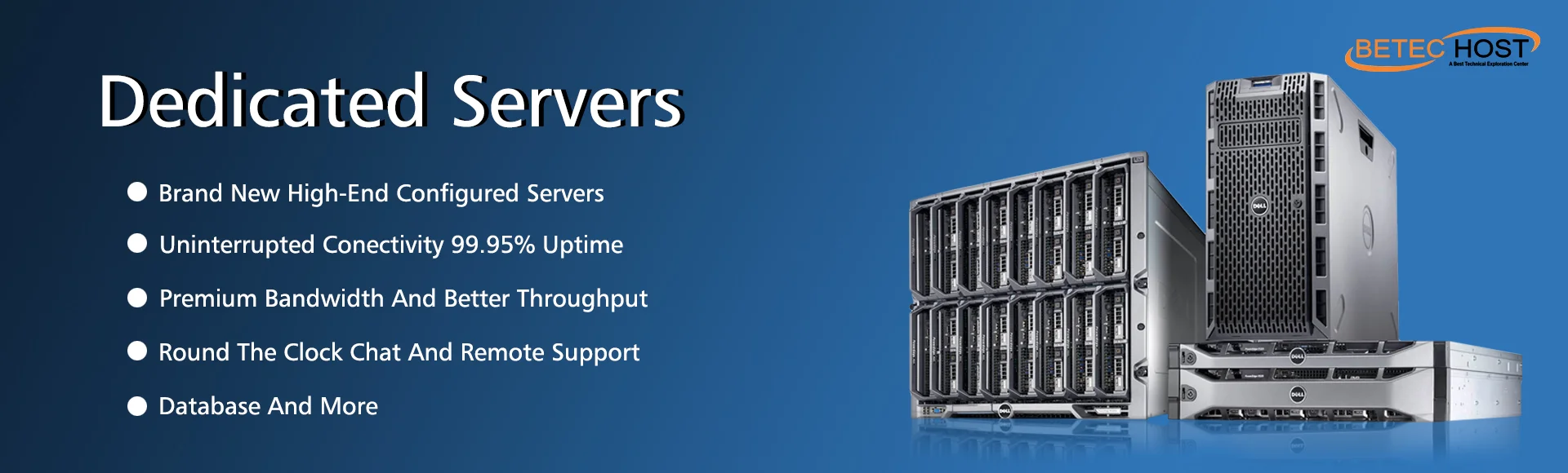 What is Dedicated Server Hosting