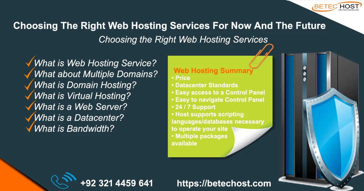choosing the right web hosting services for now and the future
