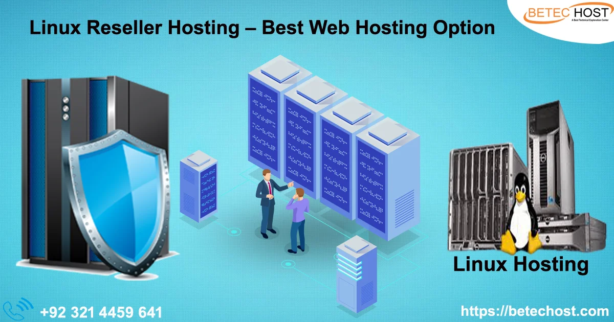 linux reseller hosting best web hosting option