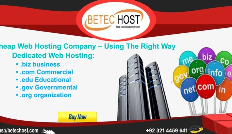 Cheap Web Hosting Company – Using the Right Way