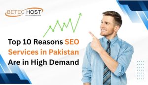 Top 10 Reasons SEO Services in Pakistan Are in High Demand